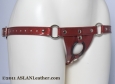 Wonder Woman Vinyl Harness